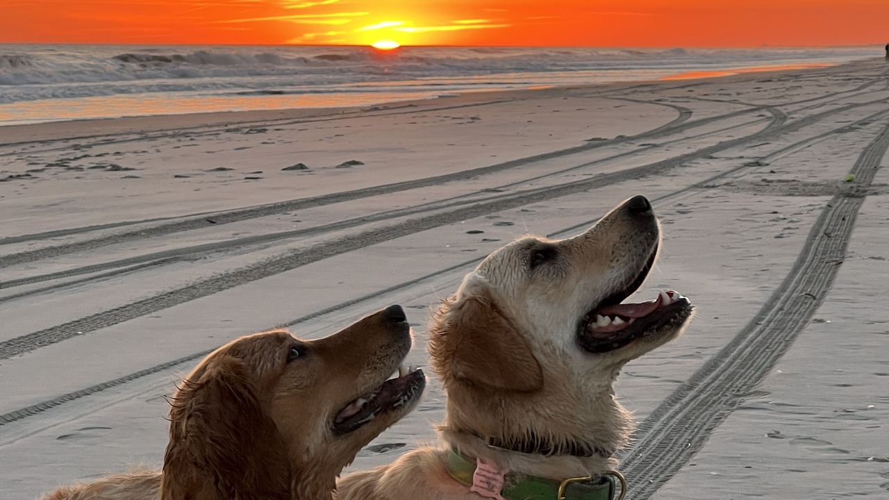 Photo of Others in Emerald Isle