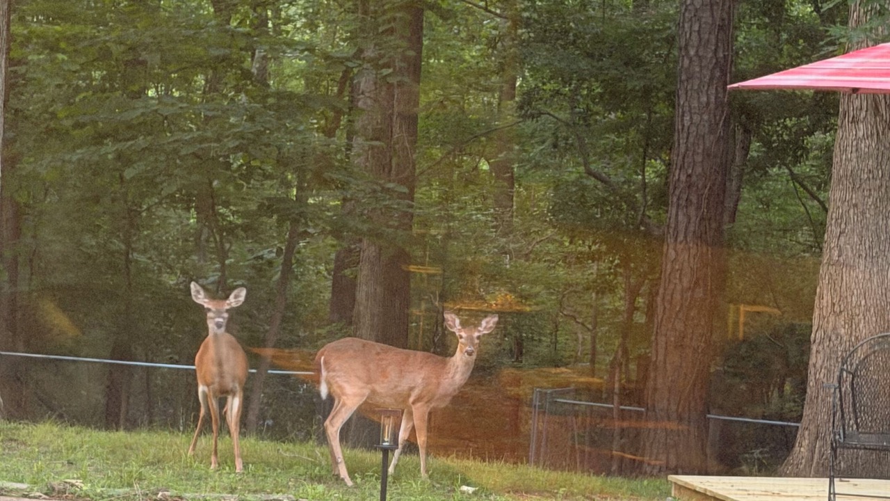 Photo of Others in Crestline Heights