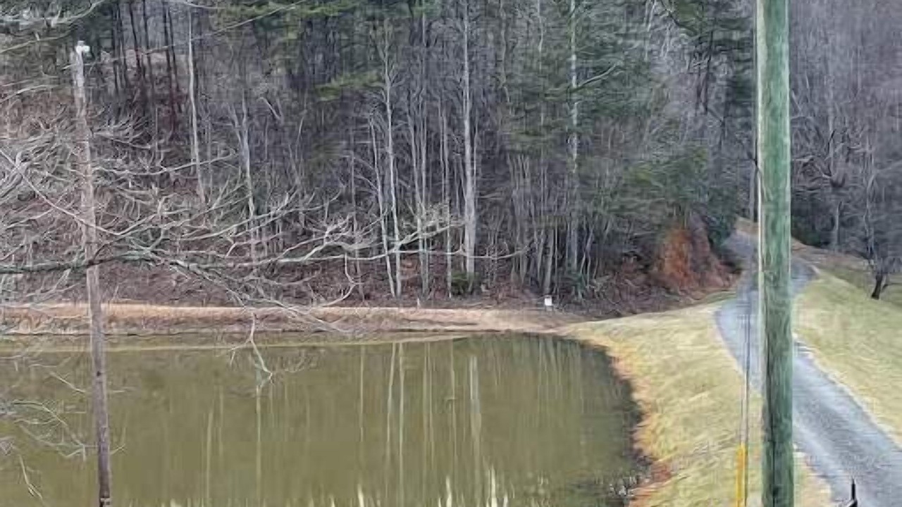 Photo of Others in Mount Airy