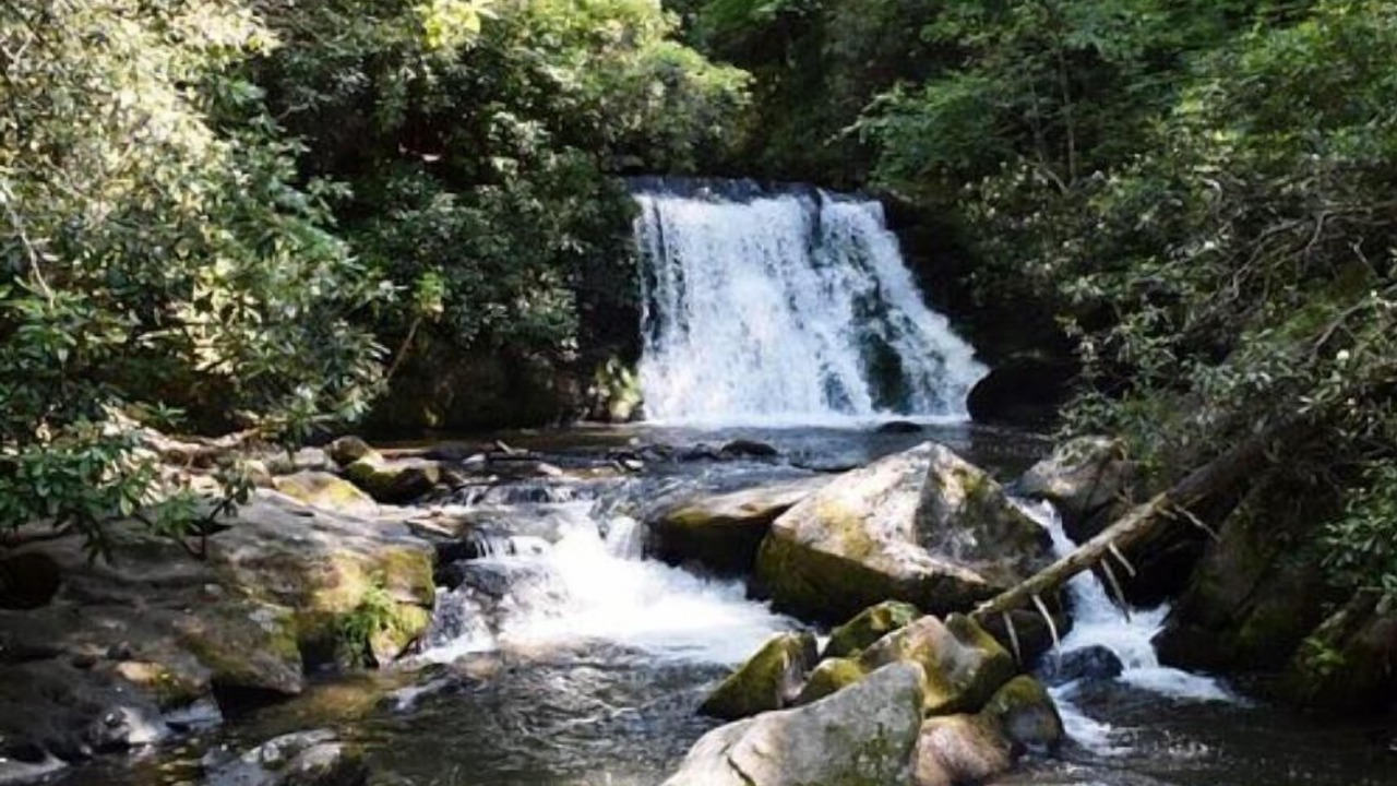 Photo of Outdoor in Robbinsville