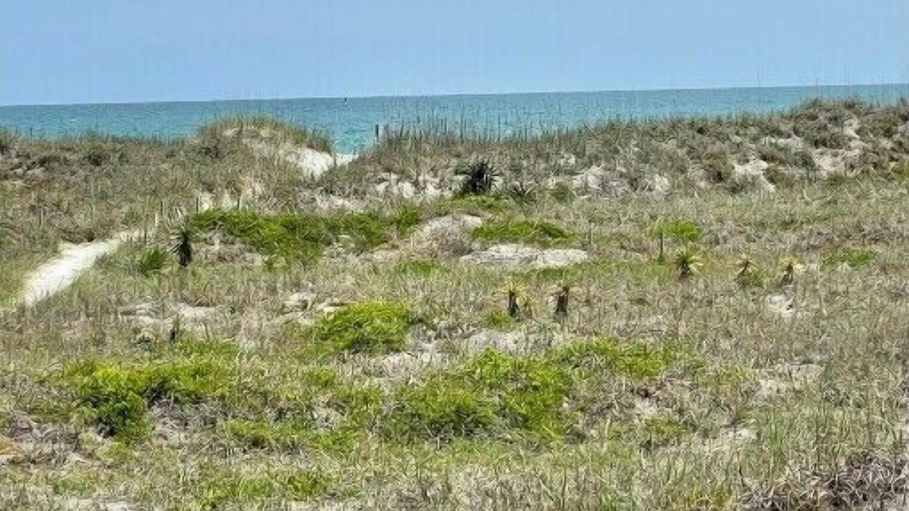 Photo of Others in Topsail Beach