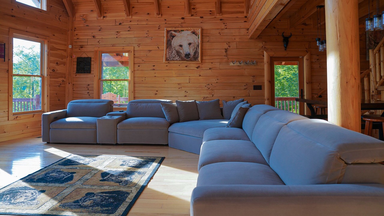 Photo of Livingroom in Dobson