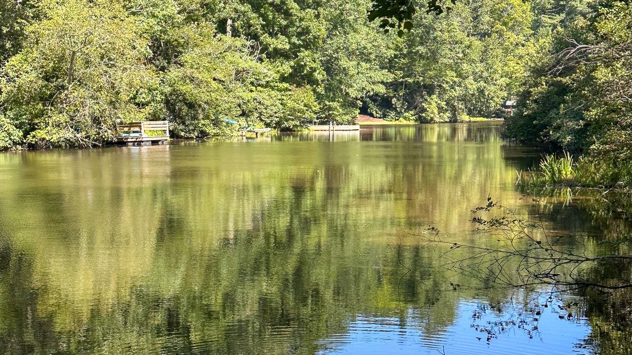 Photo of Others in Lake Sequoyah