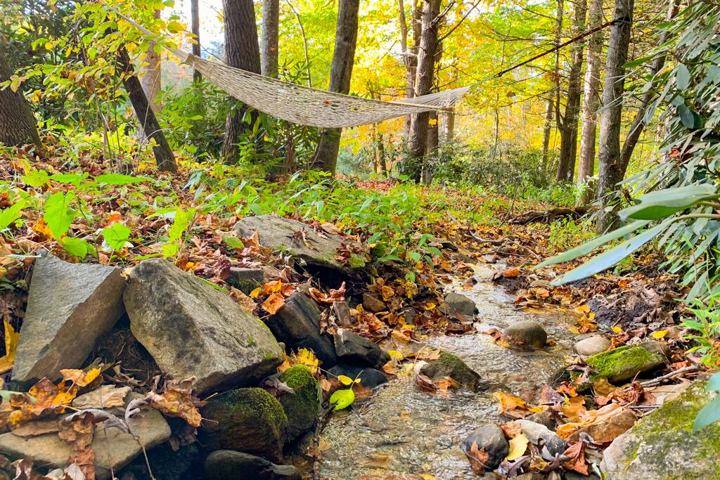 Photo of Outdoor in Burnsville