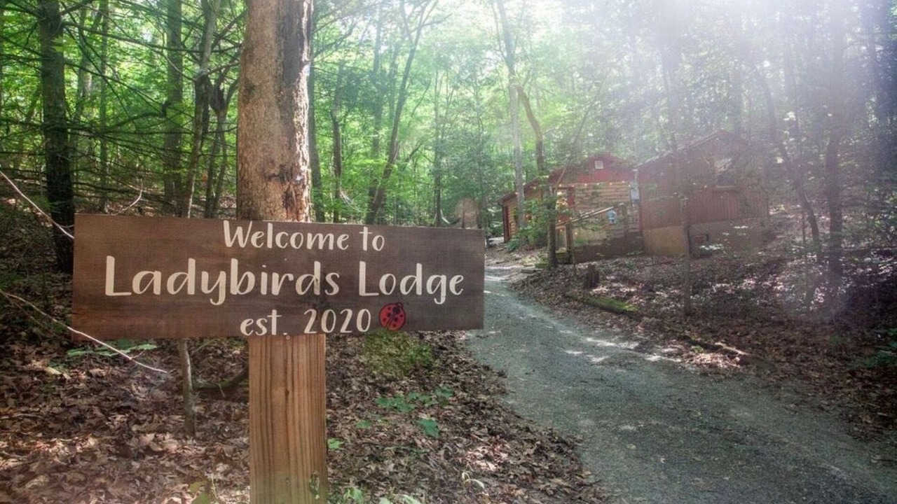 Photo of Outdoor in Murphy
