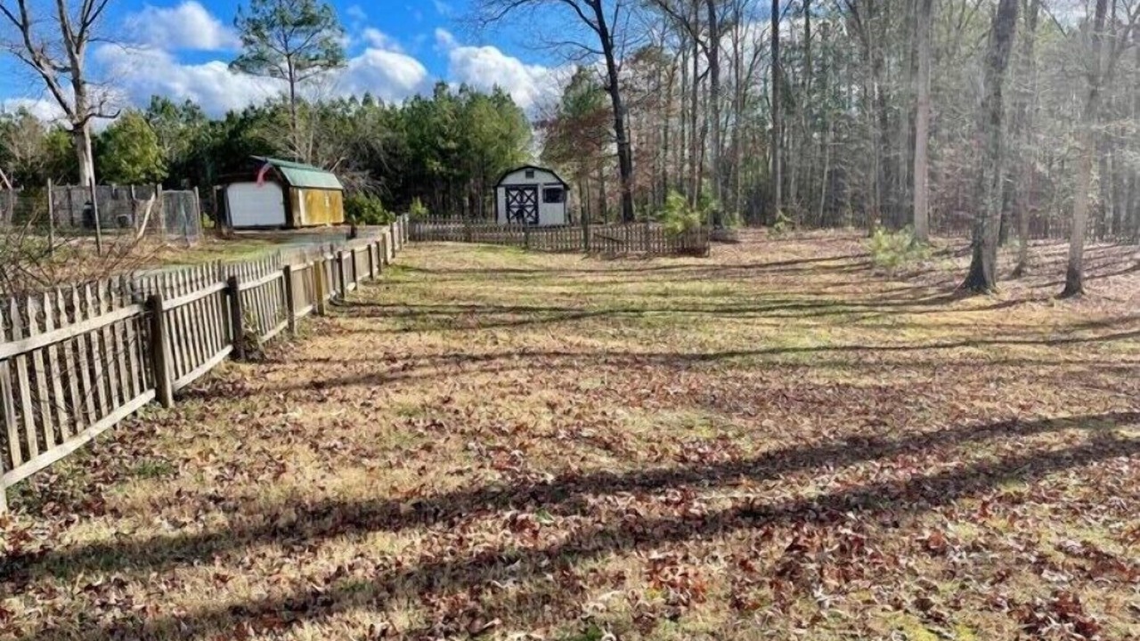Photo of Outdoor in McCain