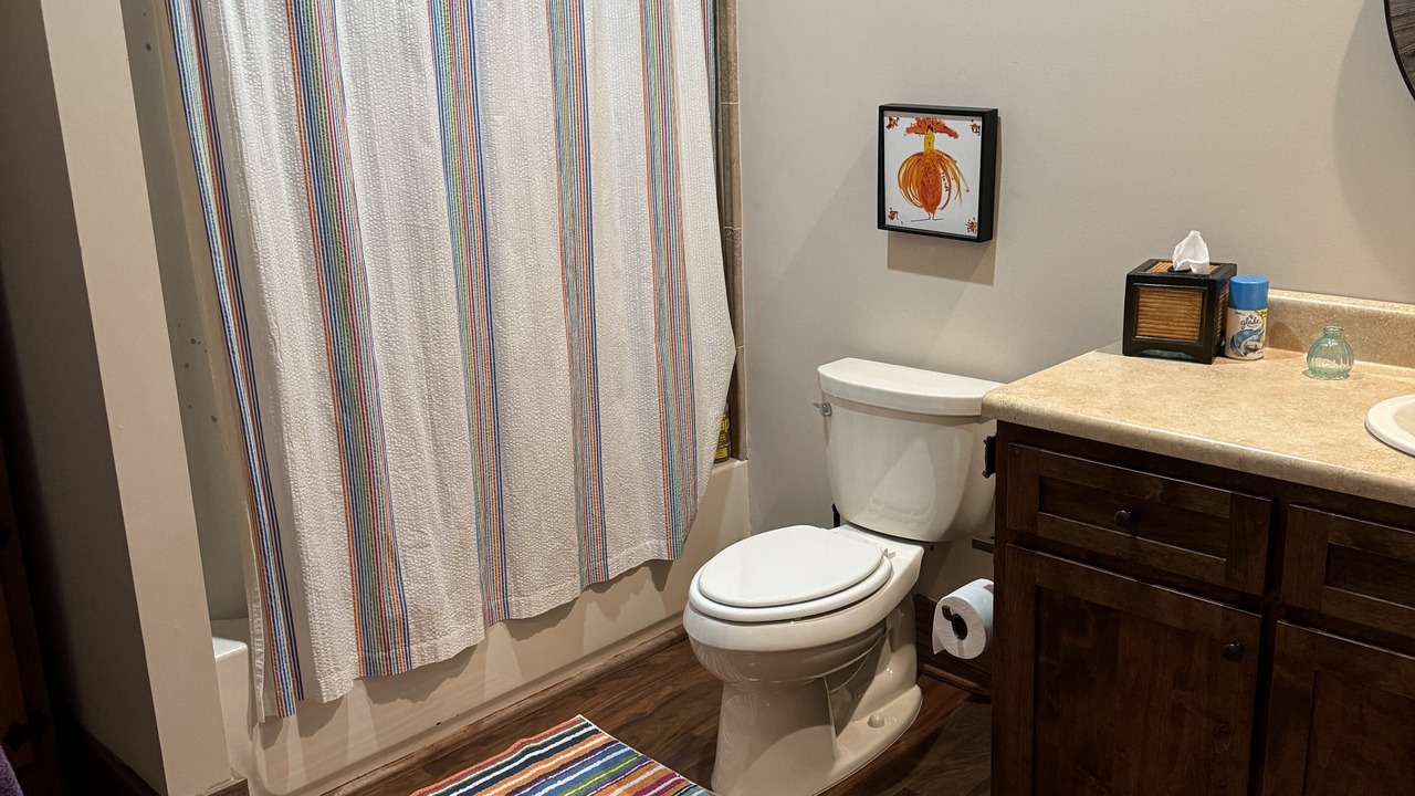 Photo of Bathroom in Cullowhee