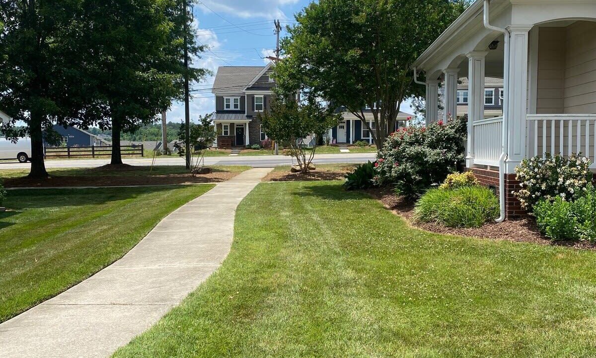 Photo of Others in Davidson