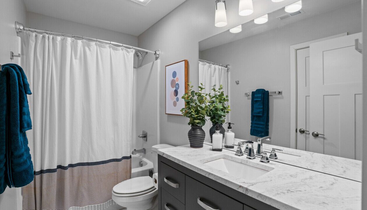 Photo of Bathroom in Black Mountain