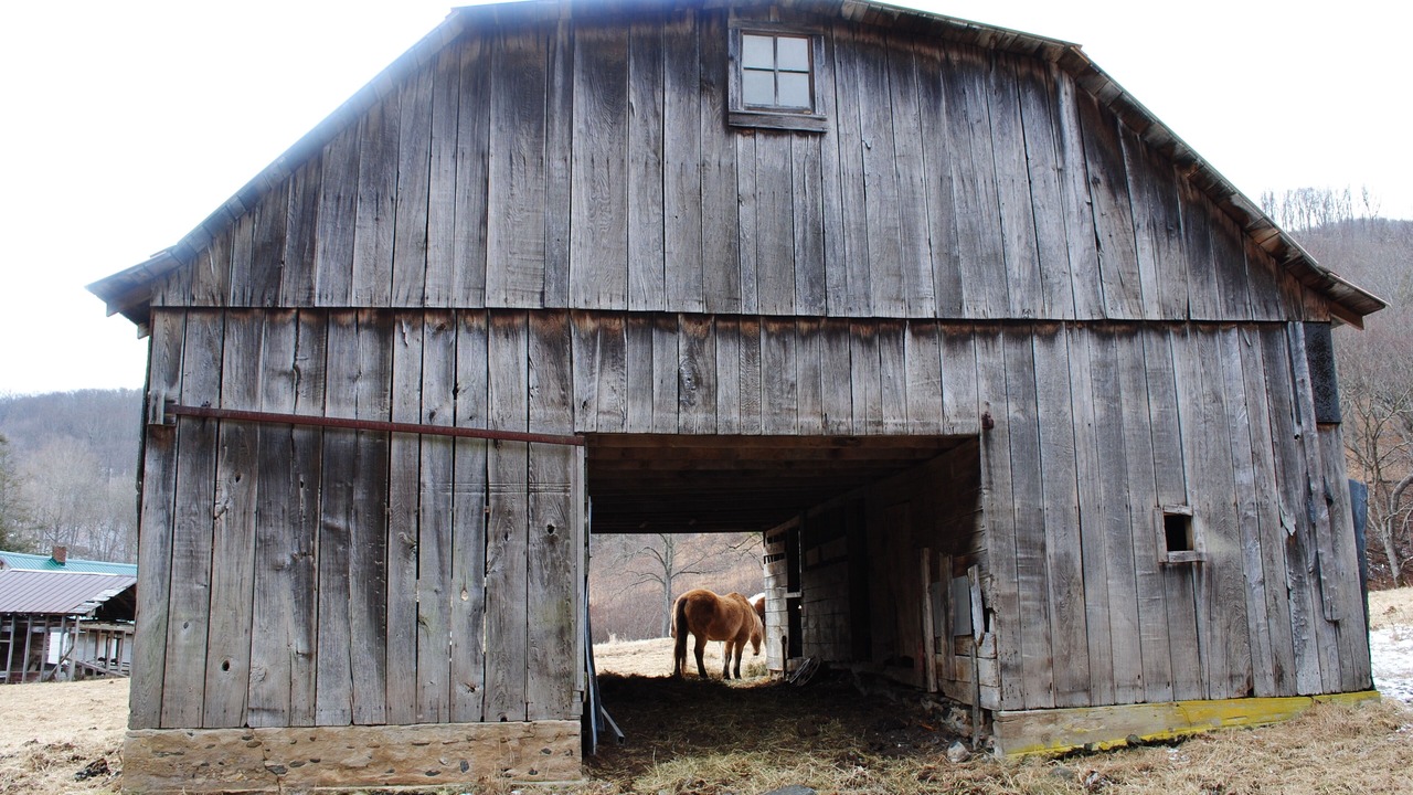 Photo of Outdoor in Todd