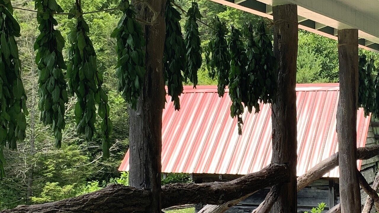 Photo of Outdoor in Todd