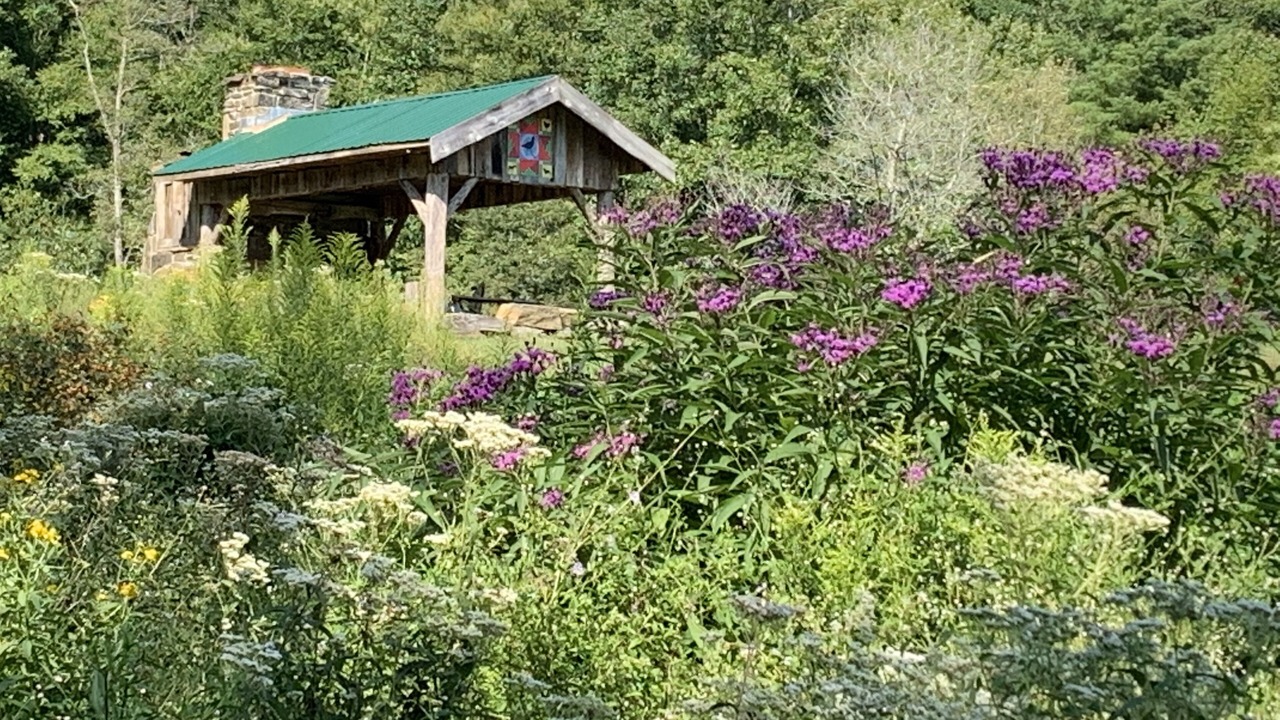 Photo of Outdoor in Todd