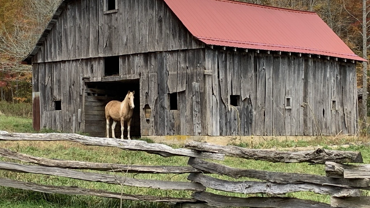 Photo of Others in Todd