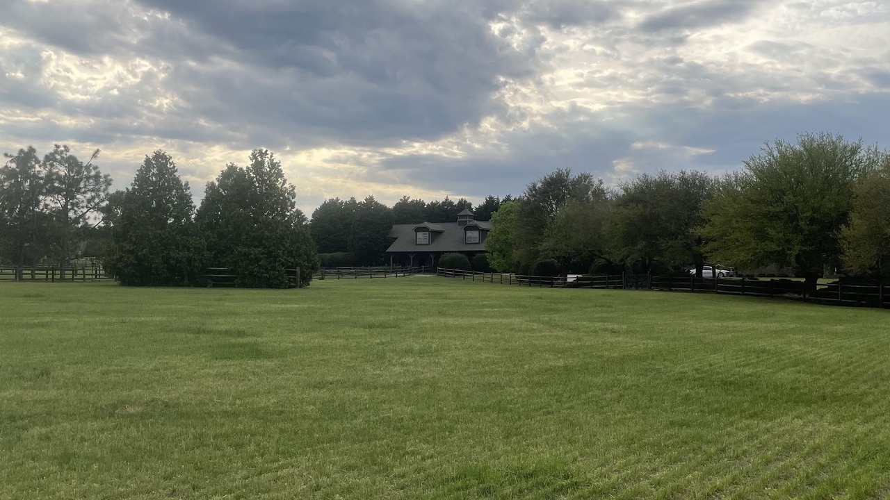 Photo of Outdoor in Southern Pines