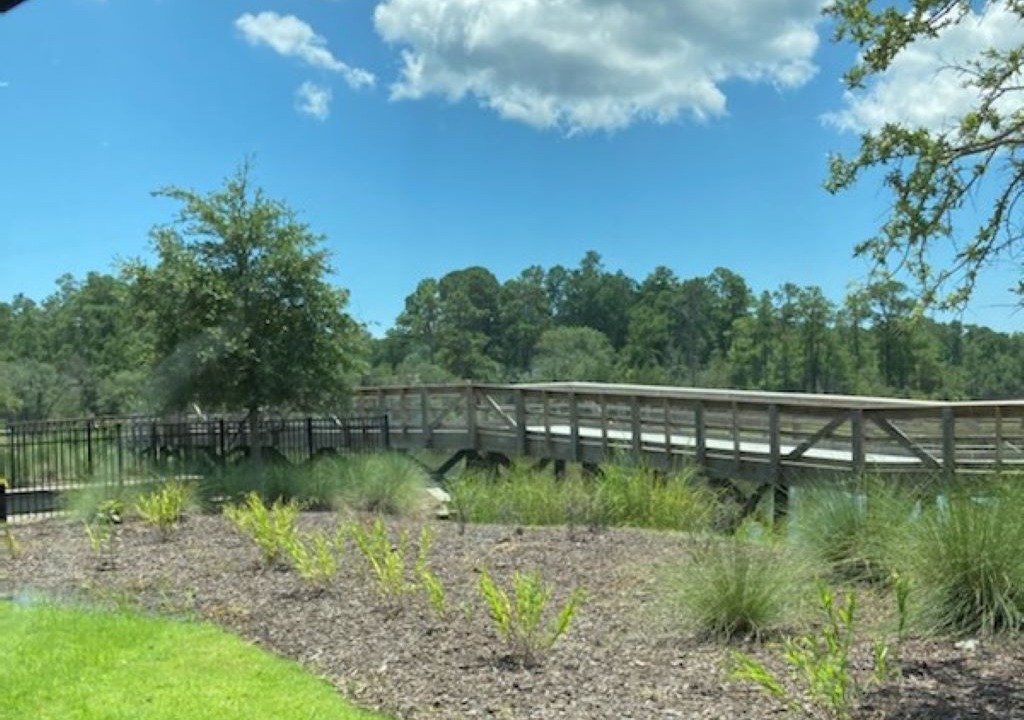 Photo of Outdoor in Shallotte