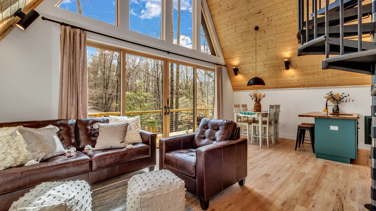 Photo of Livingroom in Swannanoa
