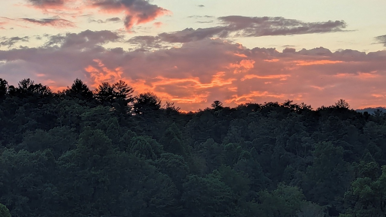 Photo of Outdoor in Lenoir