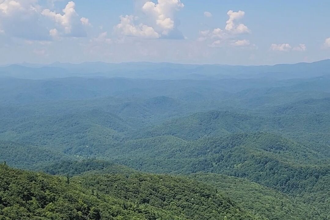 Photo of Others in Lenoir