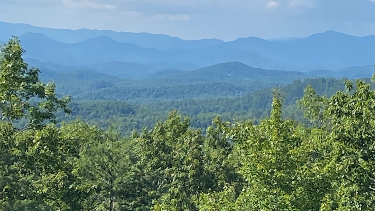 Photo of Others in Murphy