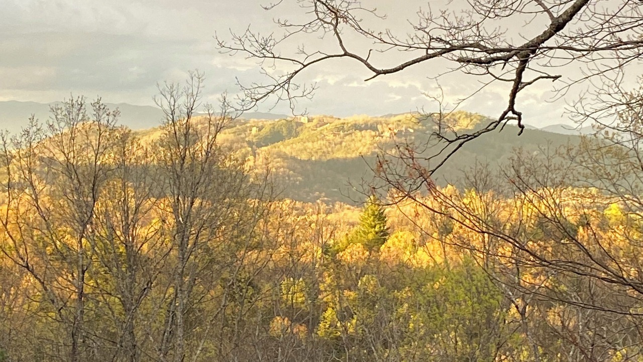 Photo of Others in Murphy