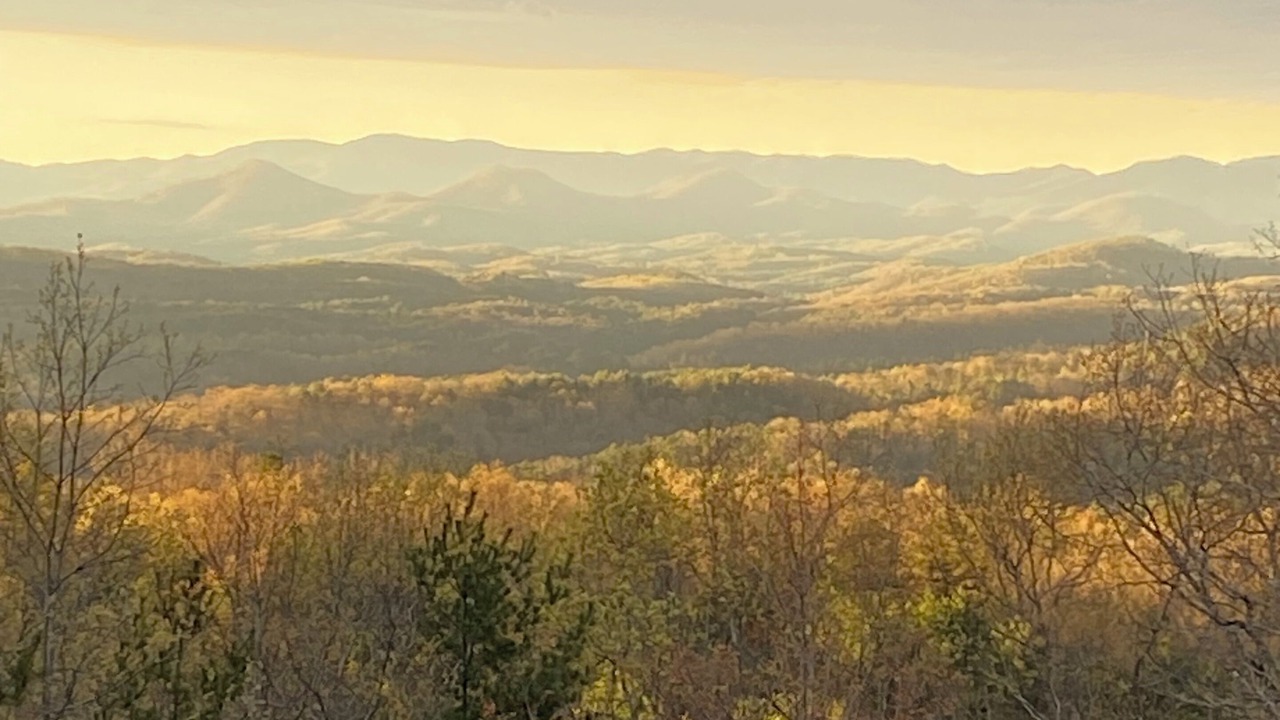 Photo of Others in Murphy