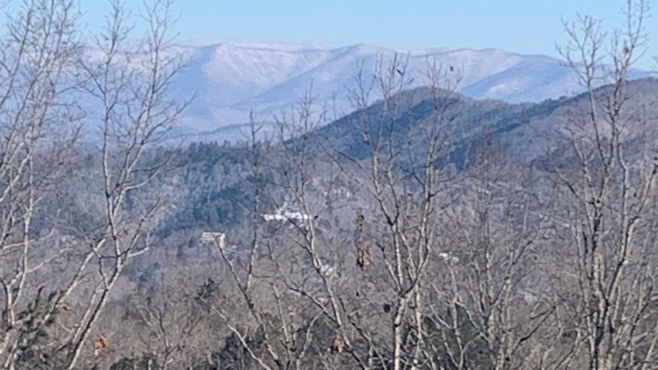 Photo of Others in Murphy