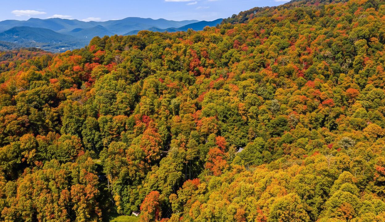 Photo of Others in Sylva