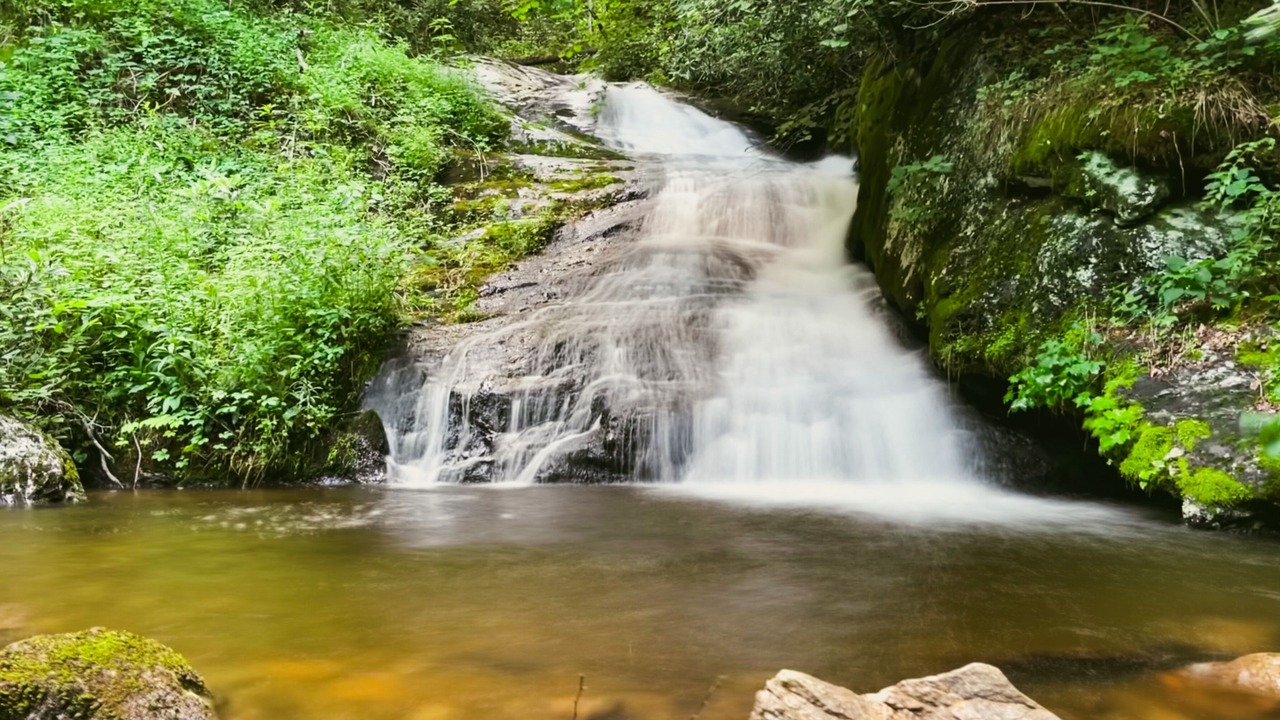 Photo of Others in Sylva