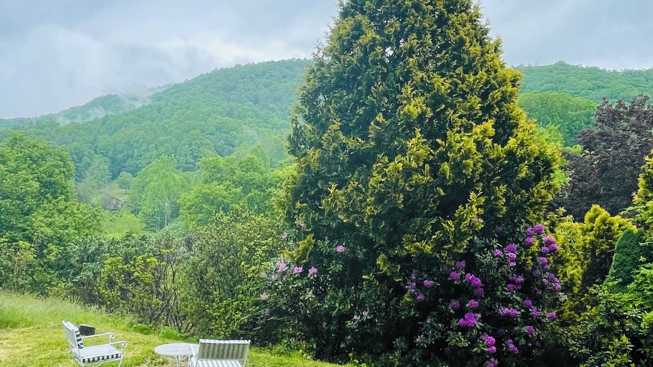 Photo of Outdoor in Bakersville