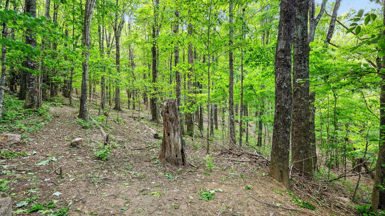 Photo of Others in West Jefferson