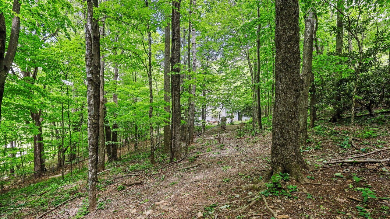 Photo of Others in West Jefferson