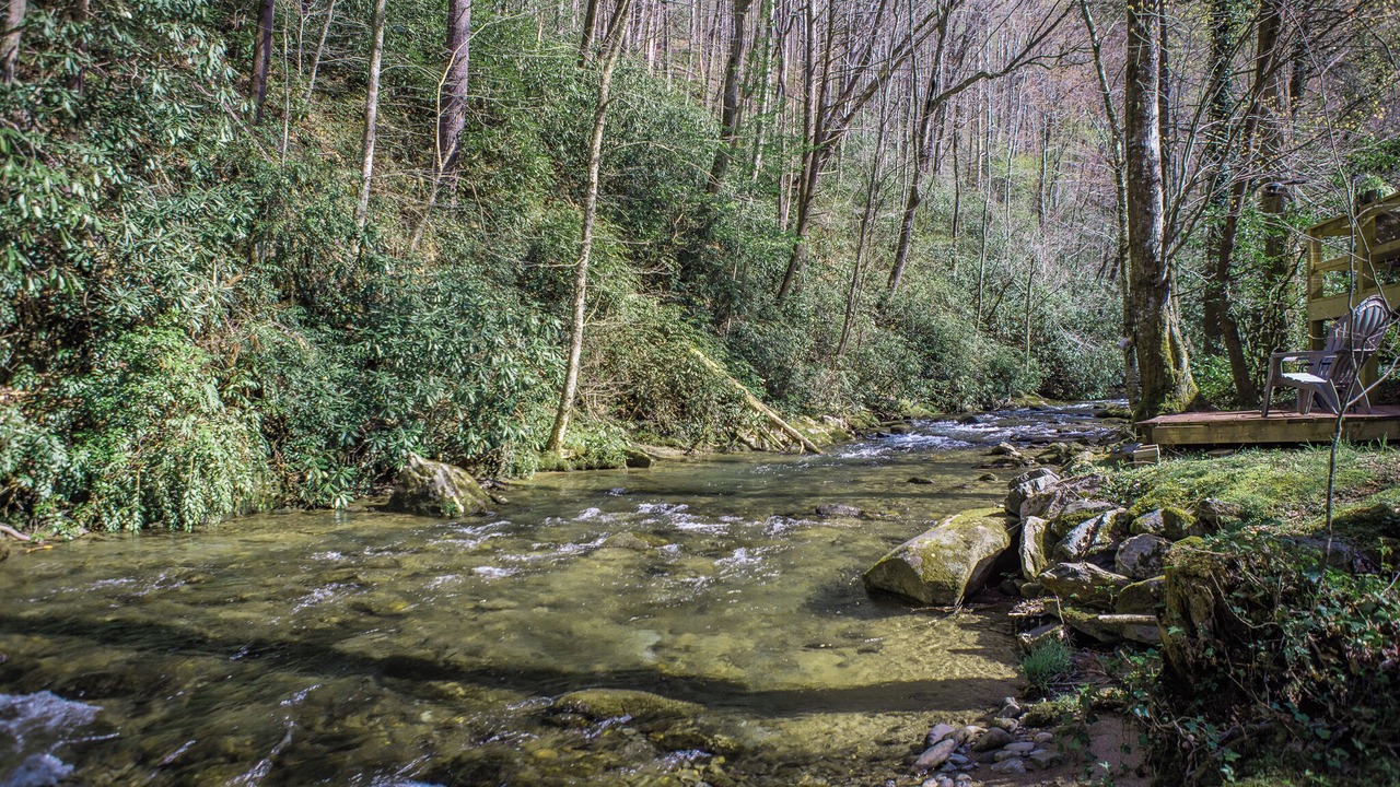 Photo of Others in Robbinsville