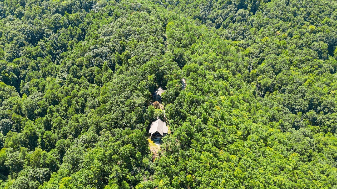 Photo of Outdoor in Black Mountain
