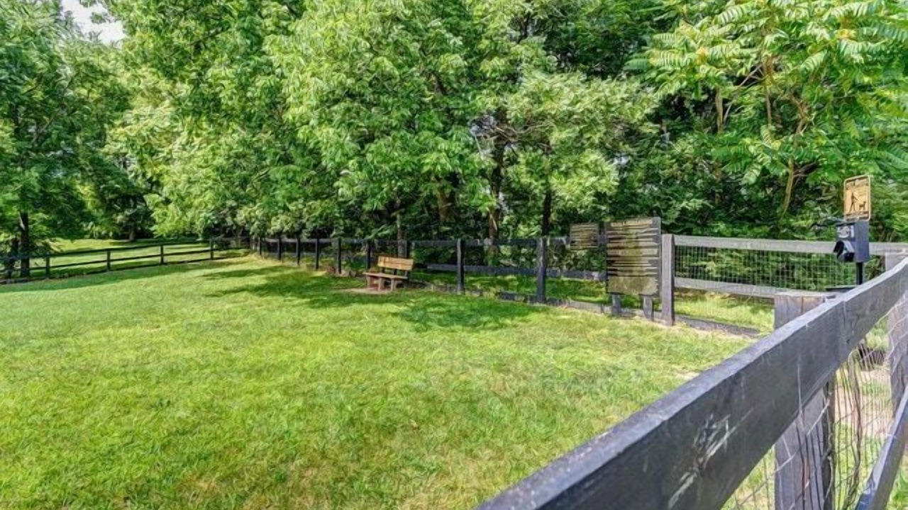 Photo of Outdoor in Nashville