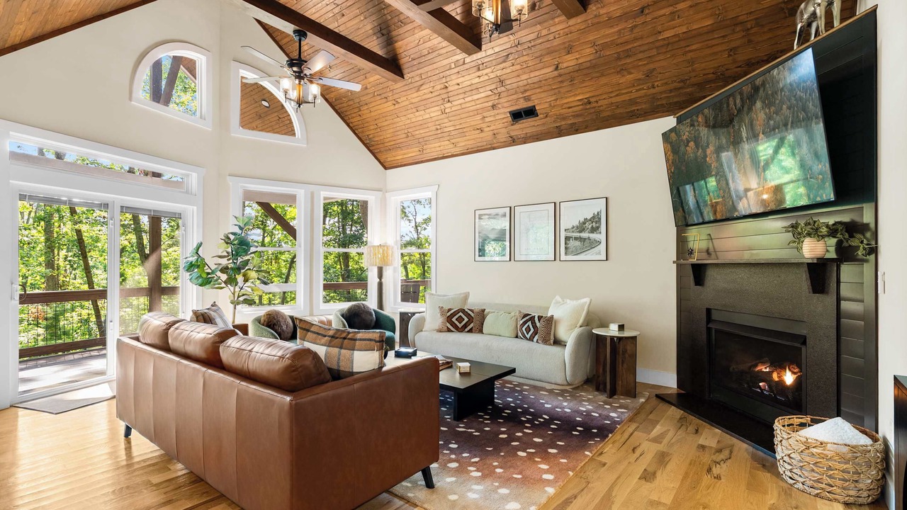 Photo of Livingroom in Asheville
