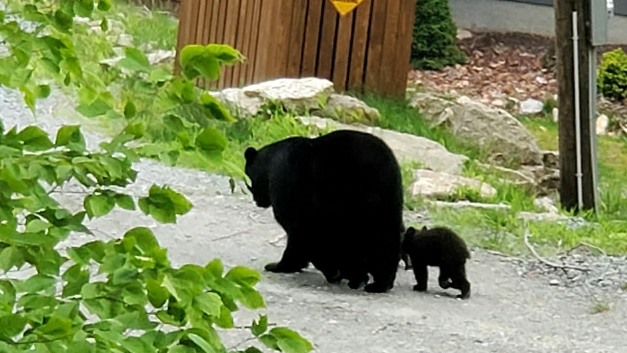 Photo of Others in Charter Hills