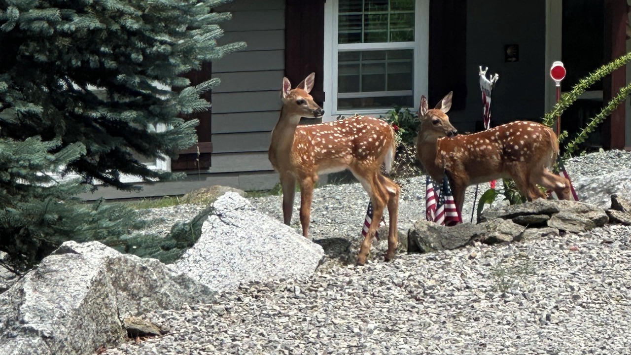 Photo of Others in Charter Hills