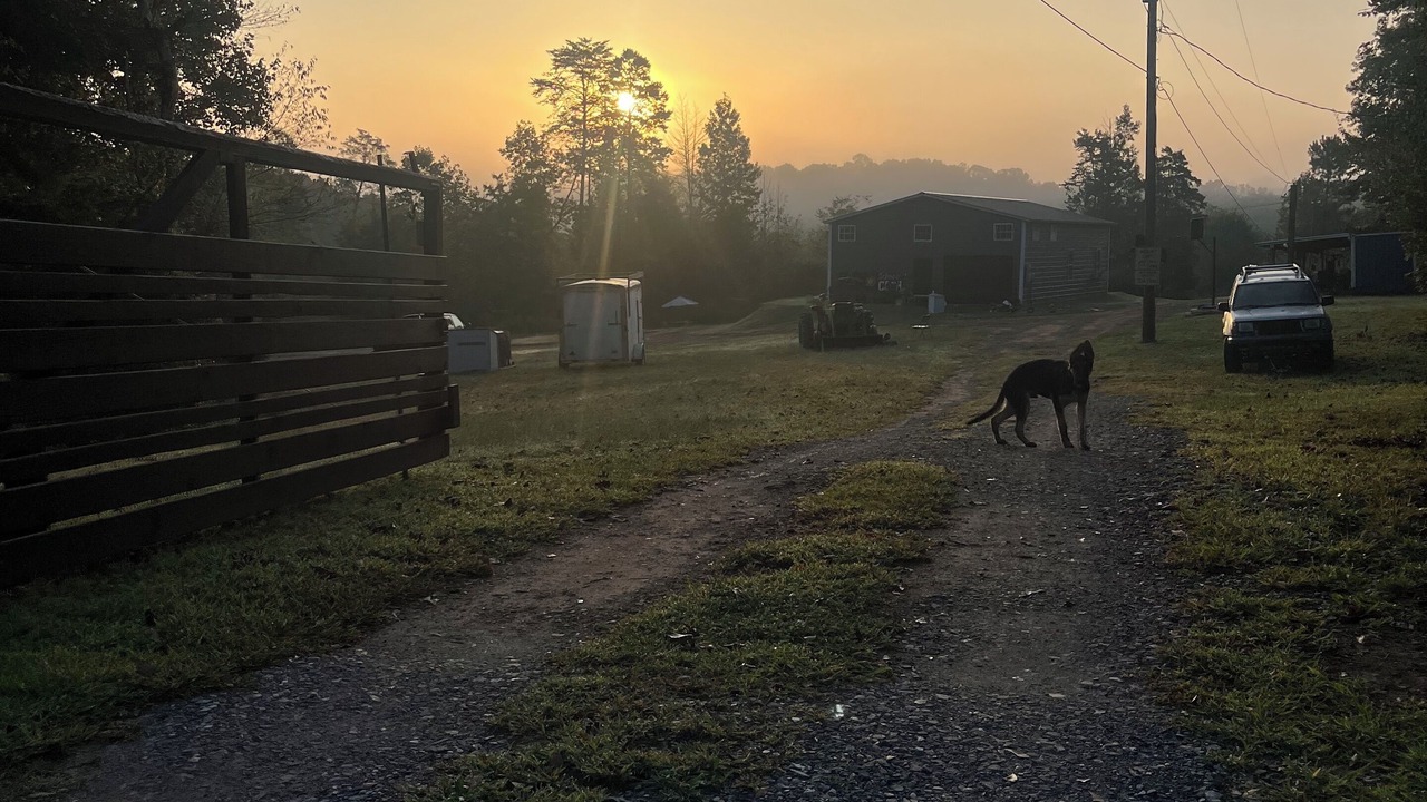 Photo of Others in Shelby