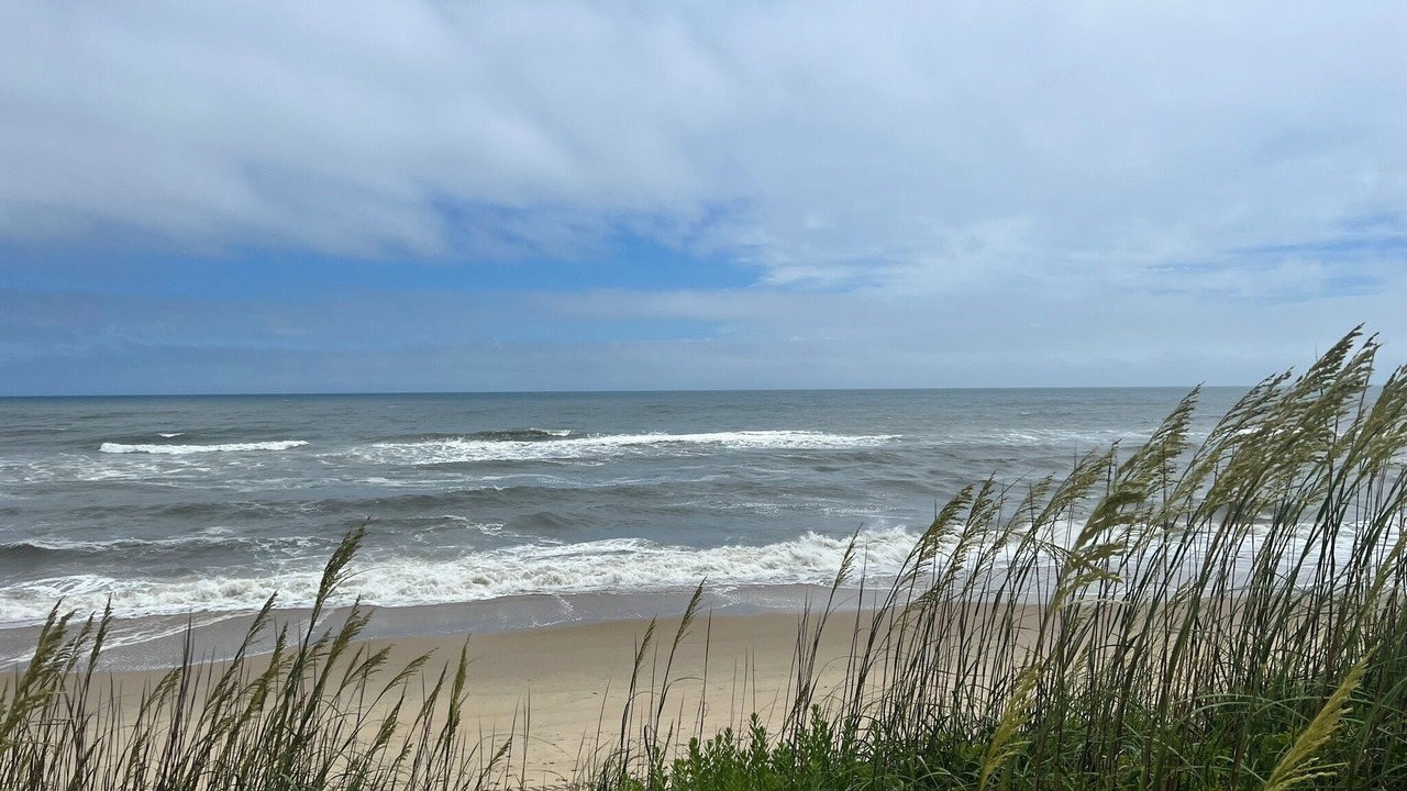 Photo of Others in South Nags Head