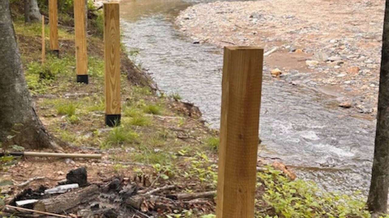 Photo of Others in Saluda