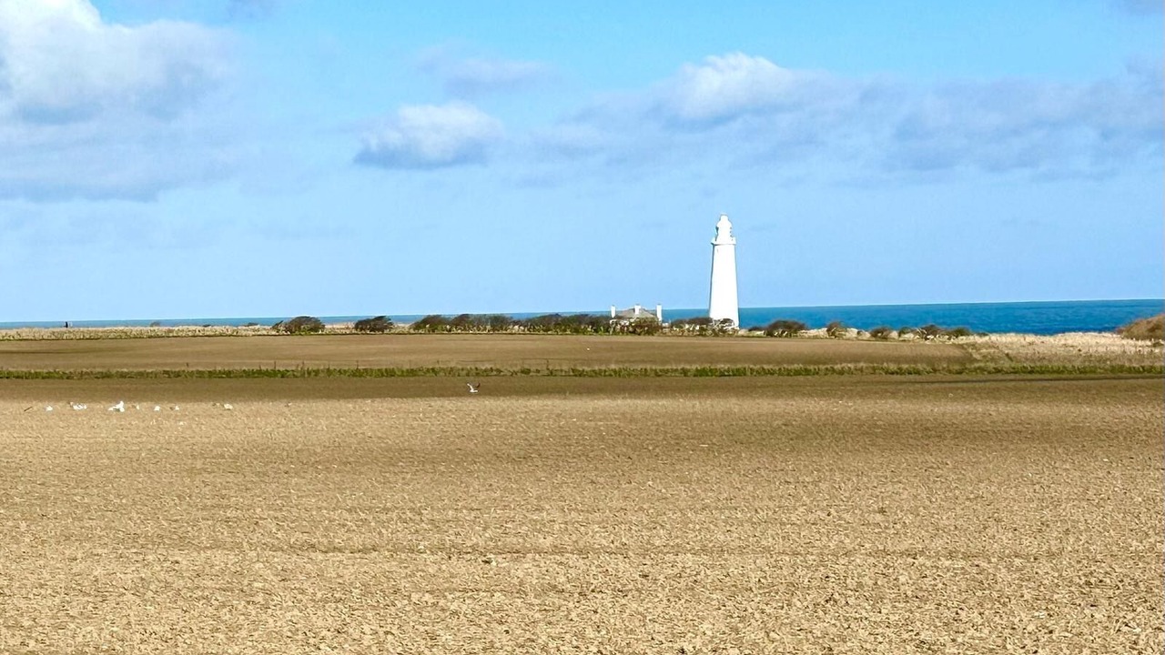Photo of Others in Whitley Bay