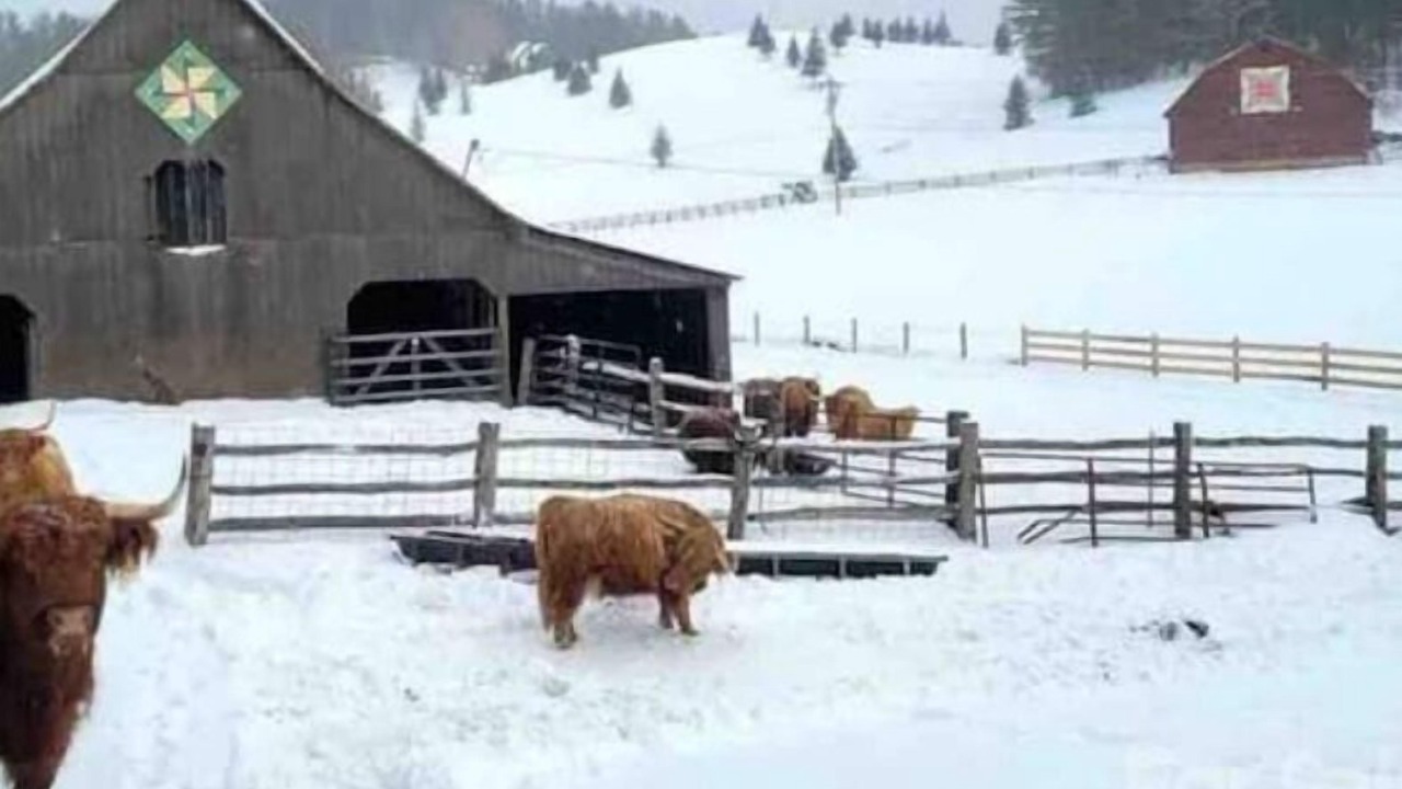Photo of Others in Altamont