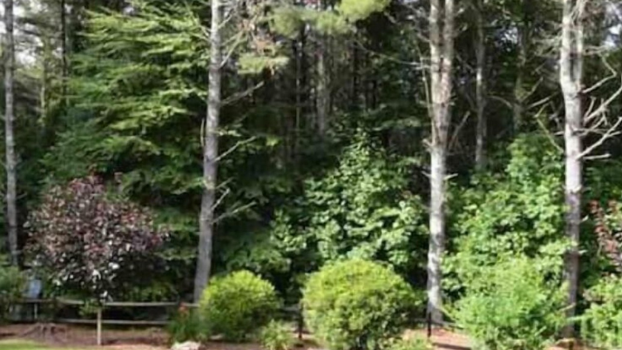 Photo of Outdoor in Altamont