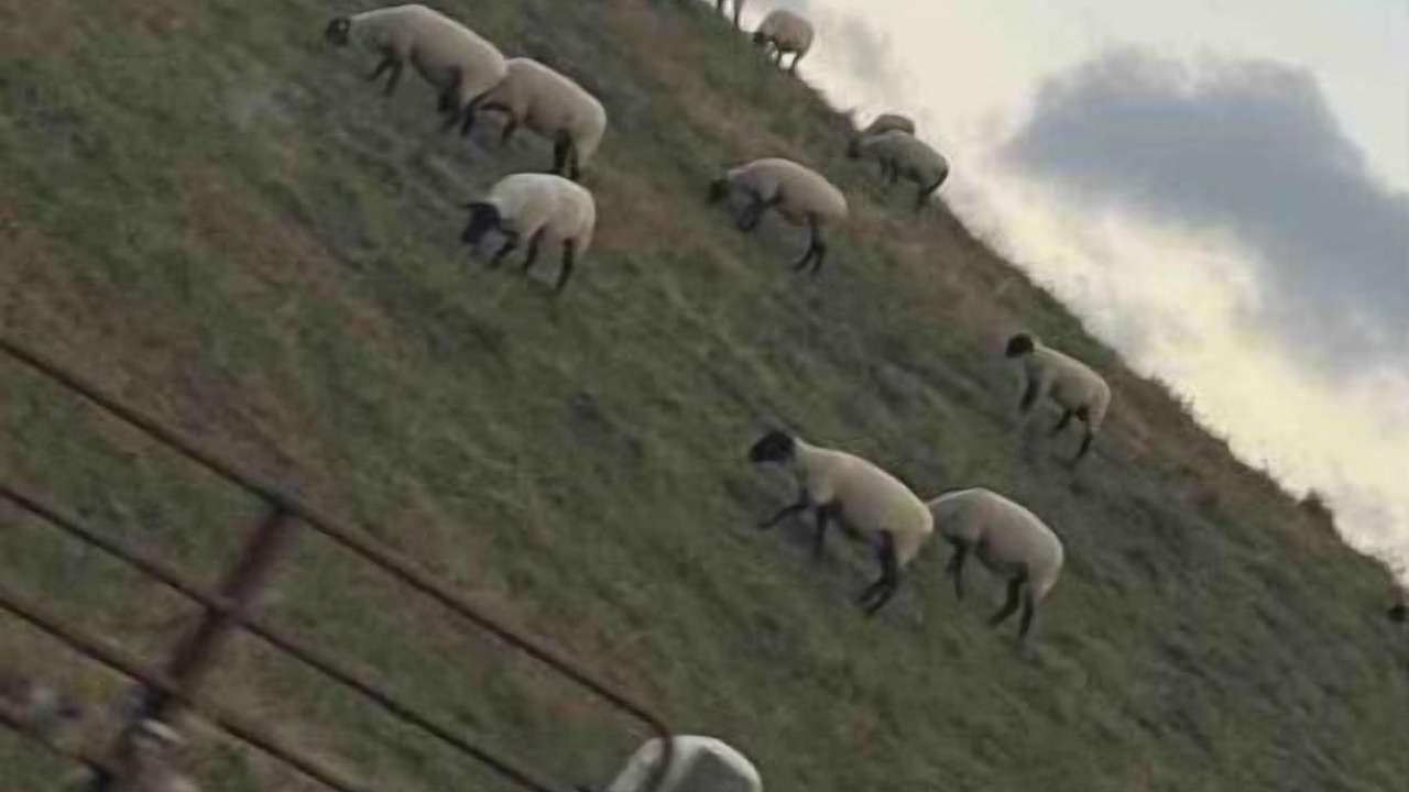 Photo of Others in Altamont