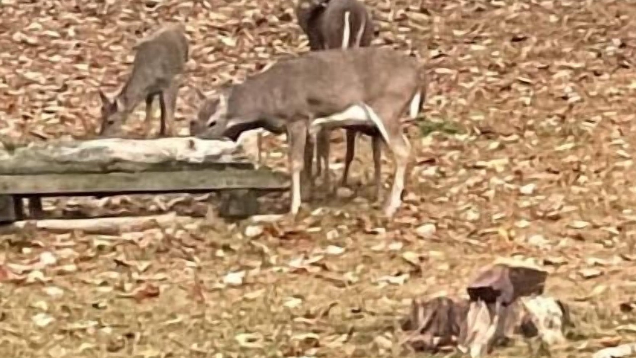 Photo of Others in Altamont