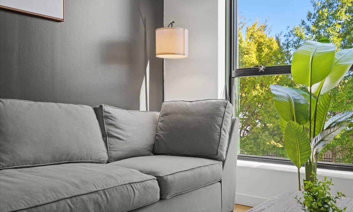 Photo of Livingroom in Charlotte