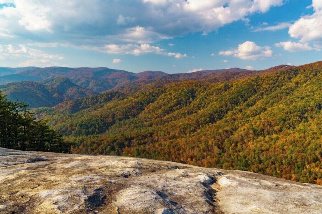Photo of Others in Jonesville