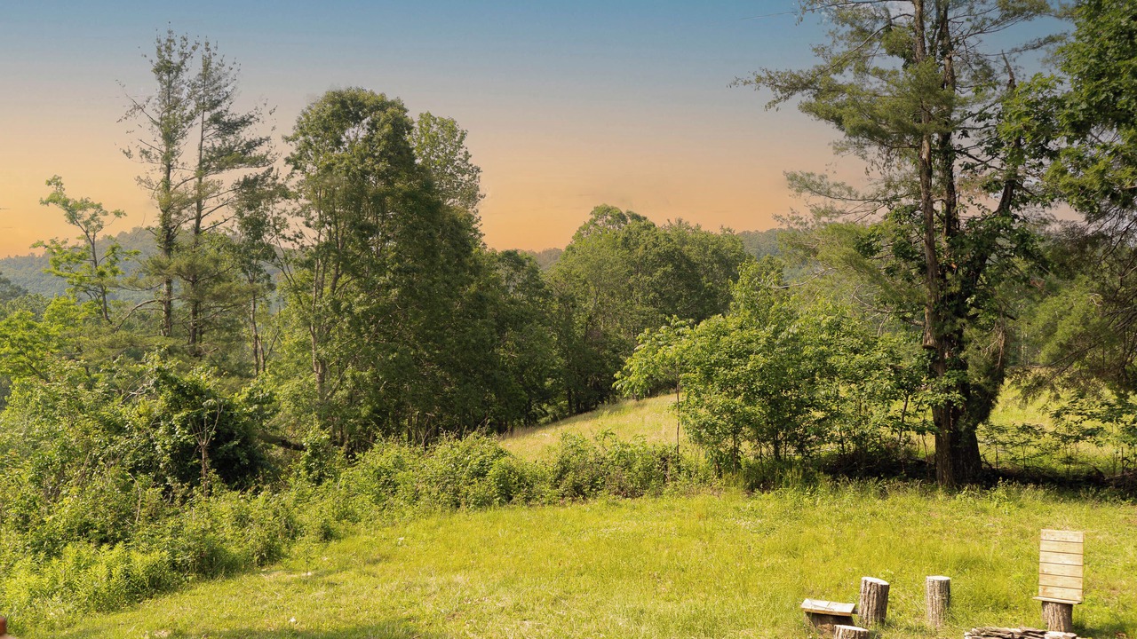 Photo of Outdoor in Spruce Pine