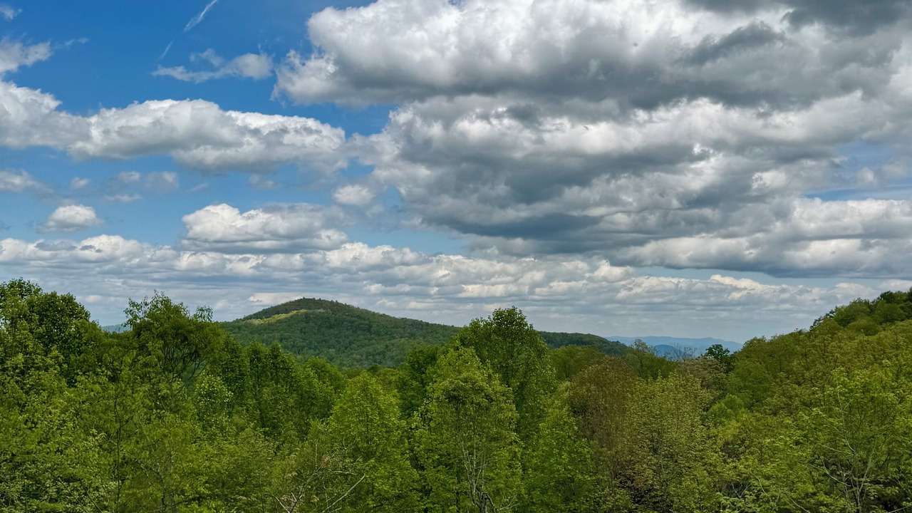 Photo of Others in Black Mountain