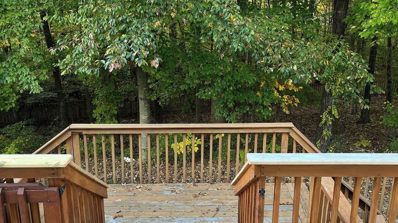 Photo of Outdoor in McLeansville